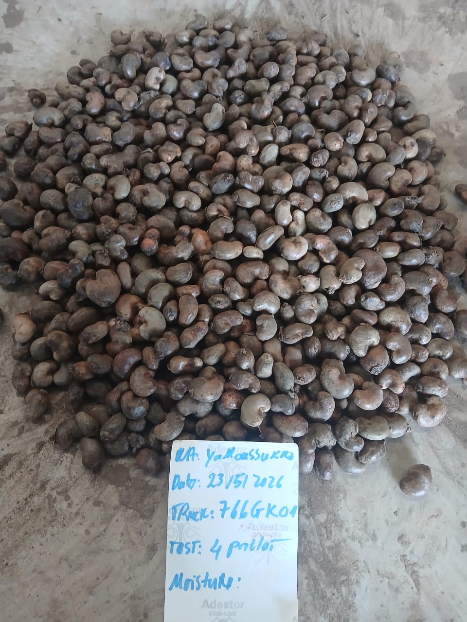 AFRIVIET