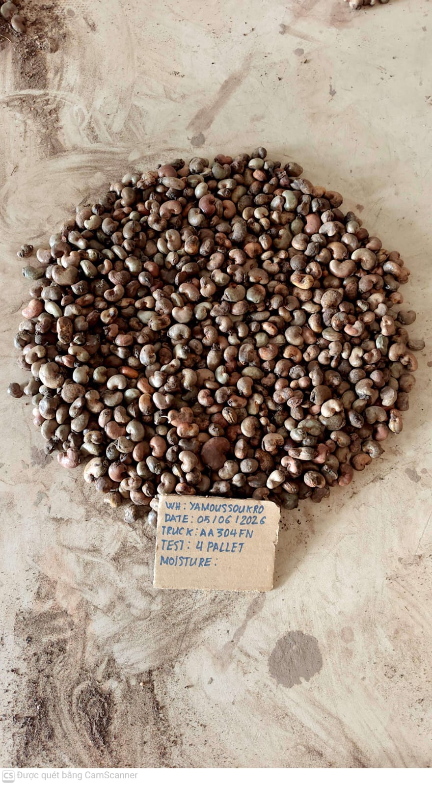 AFRIVIET