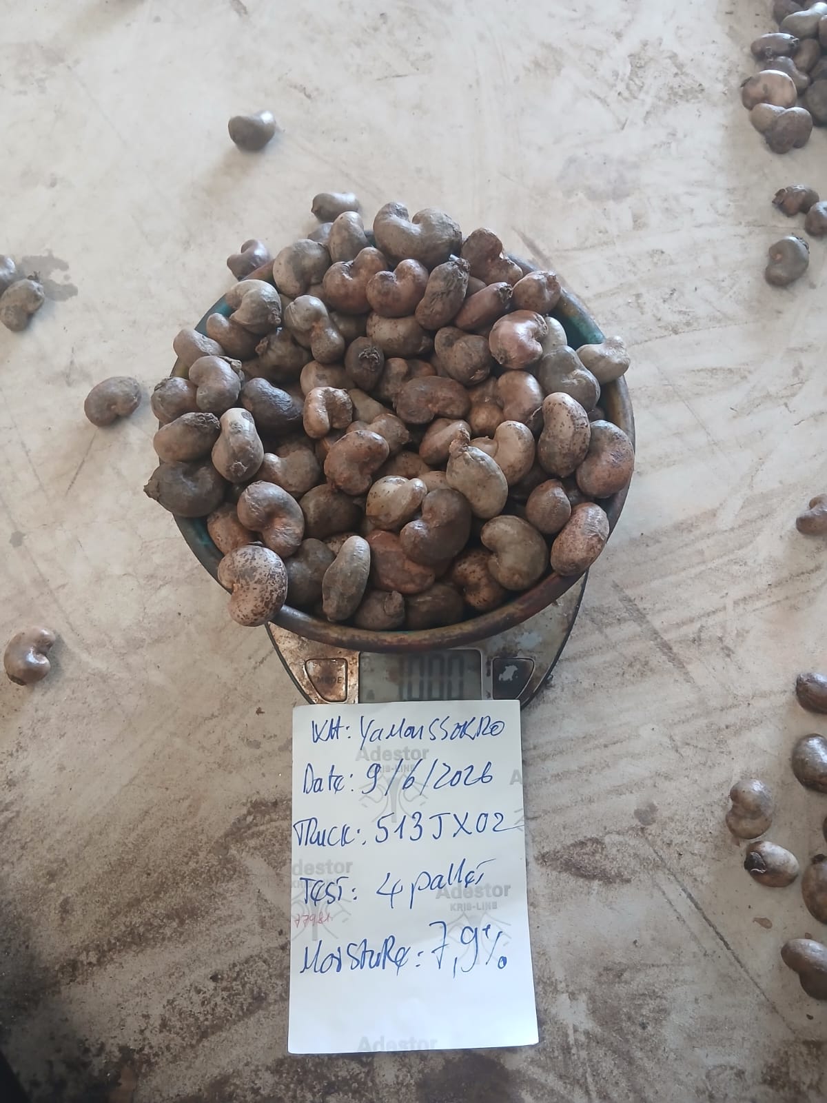 AFRIVIET