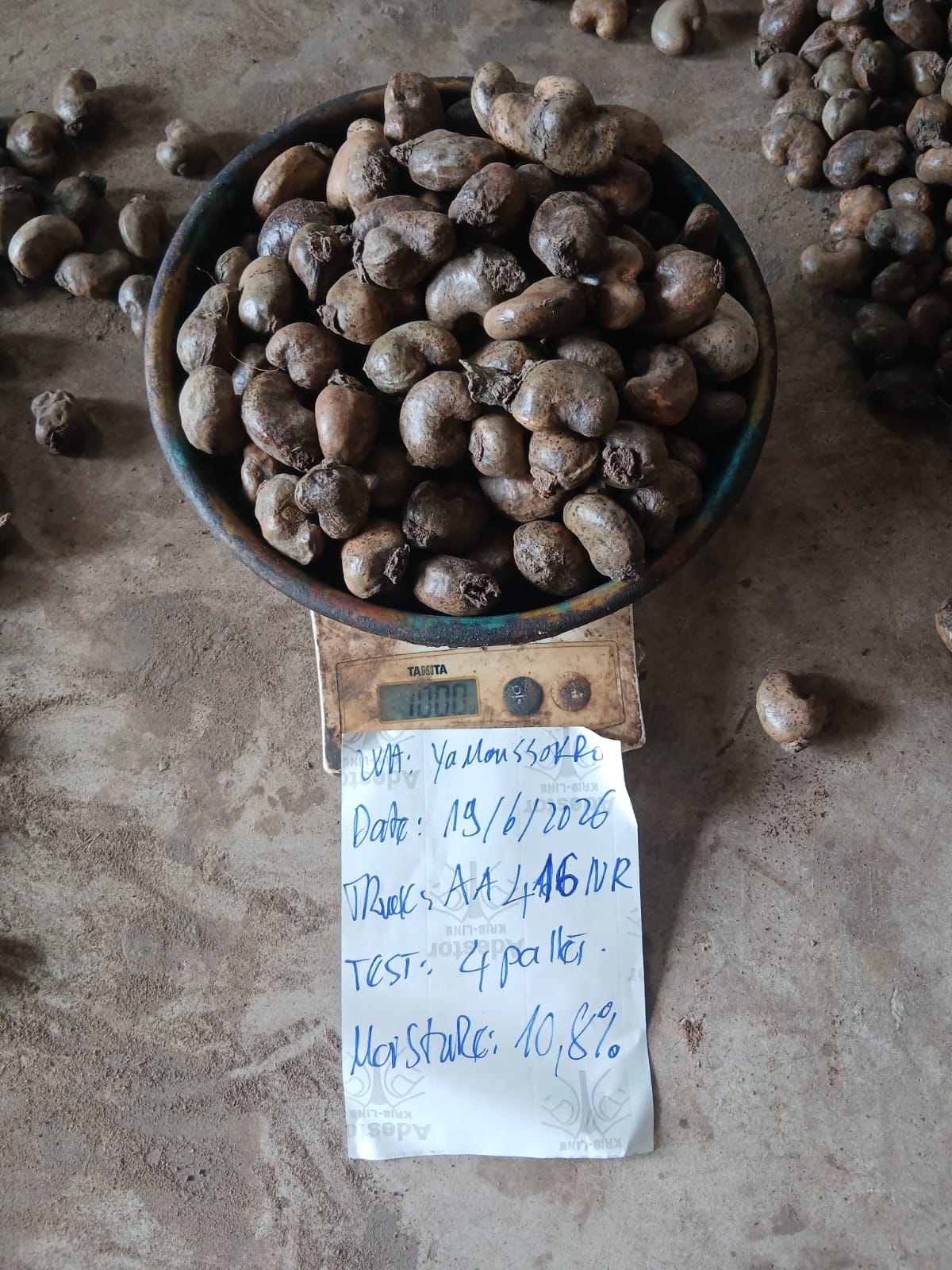 AFRIVIET