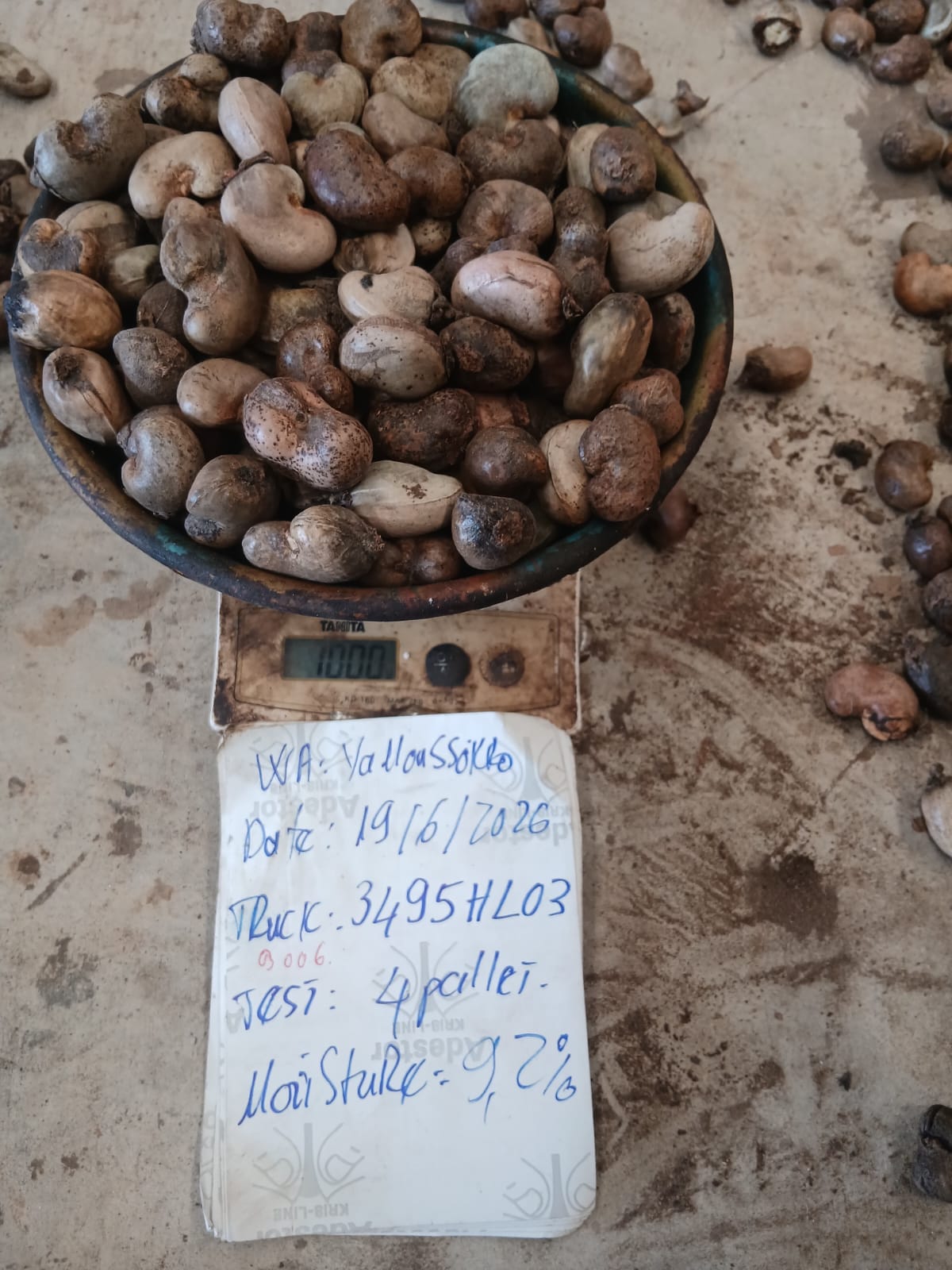 AFRIVIET