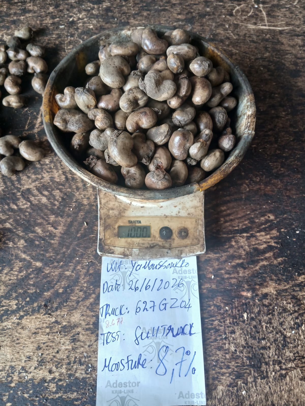 AFRIVIET