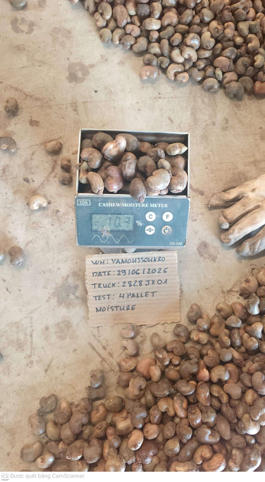 AFRIVIET