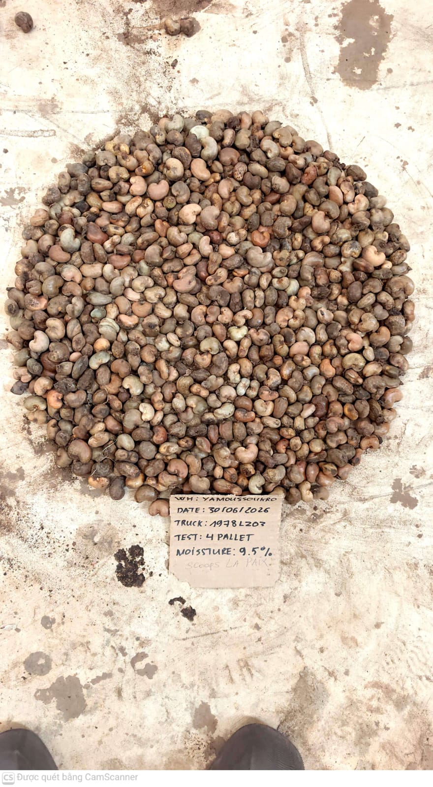 AFRIVIET