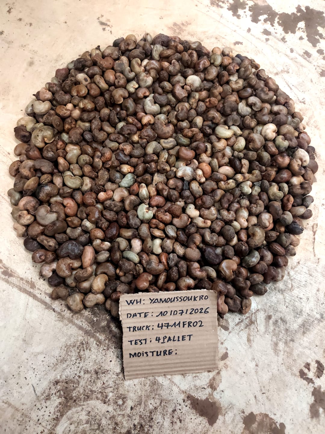 AFRIVIET