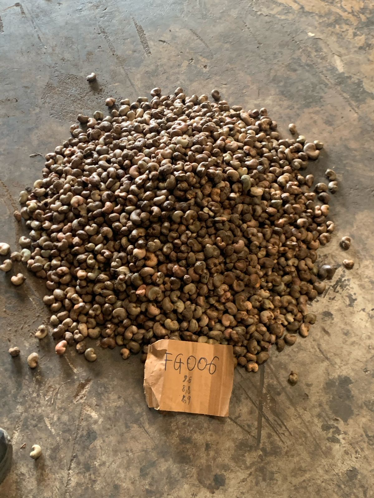 AFRIVIET