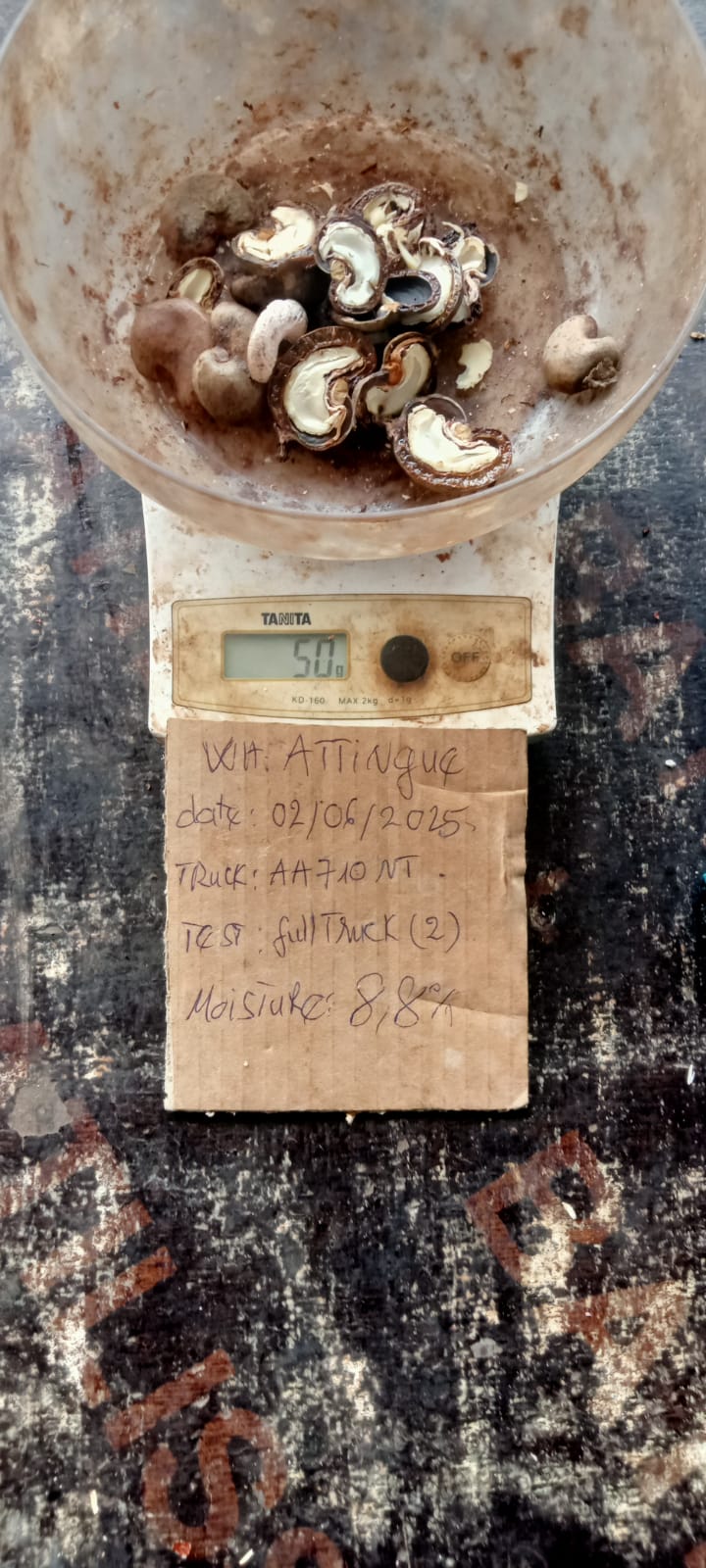 AFRIVIET