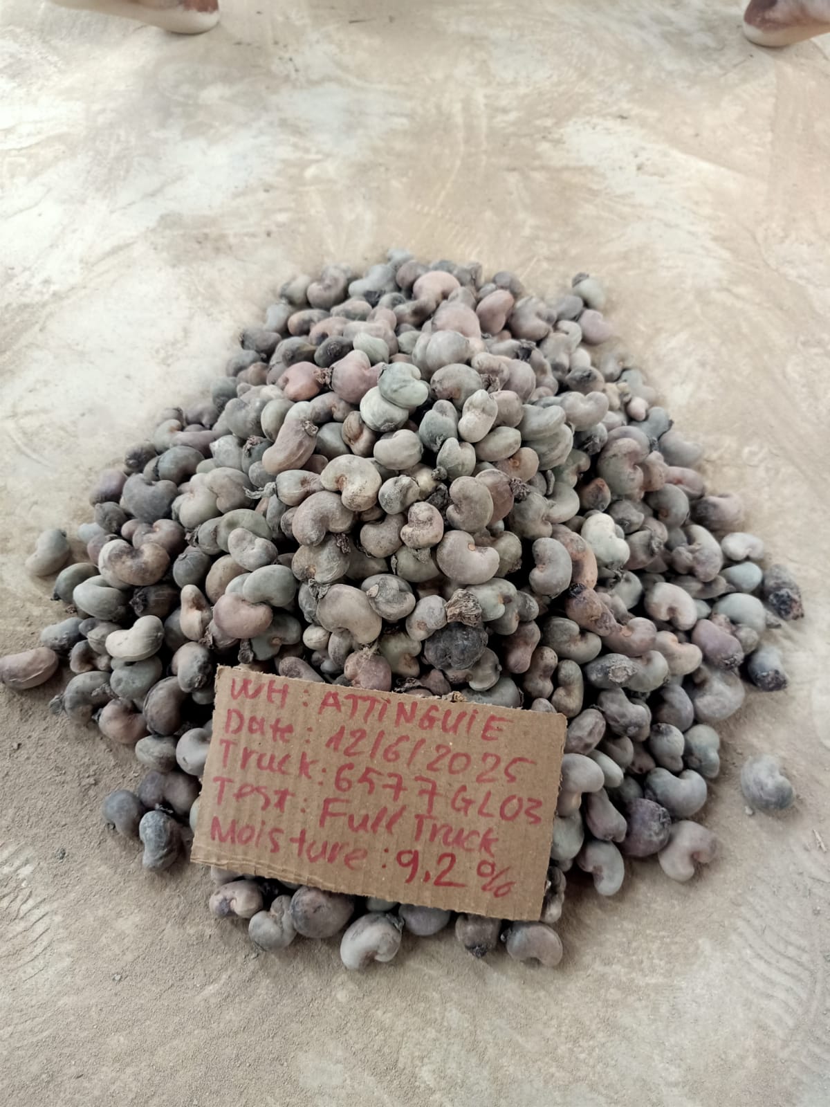 AFRIVIET
