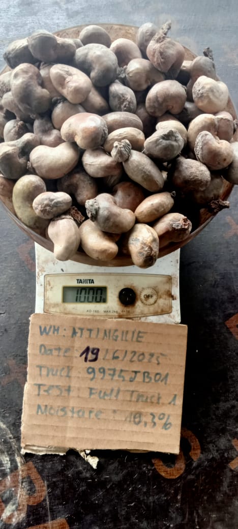 AFRIVIET