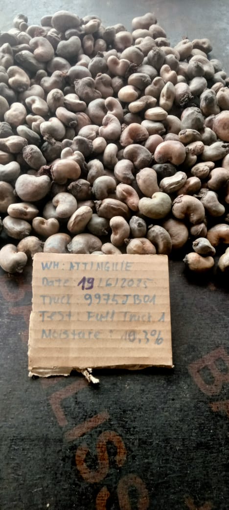 AFRIVIET