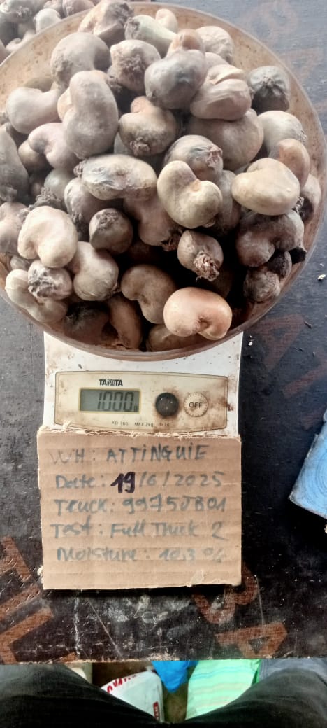 AFRIVIET