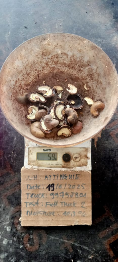 AFRIVIET