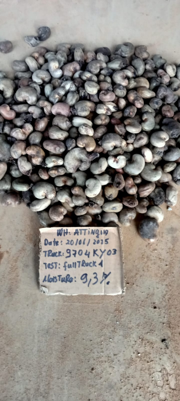 AFRIVIET