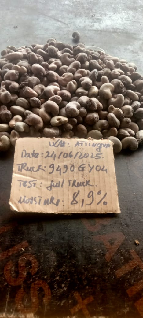 AFRIVIET