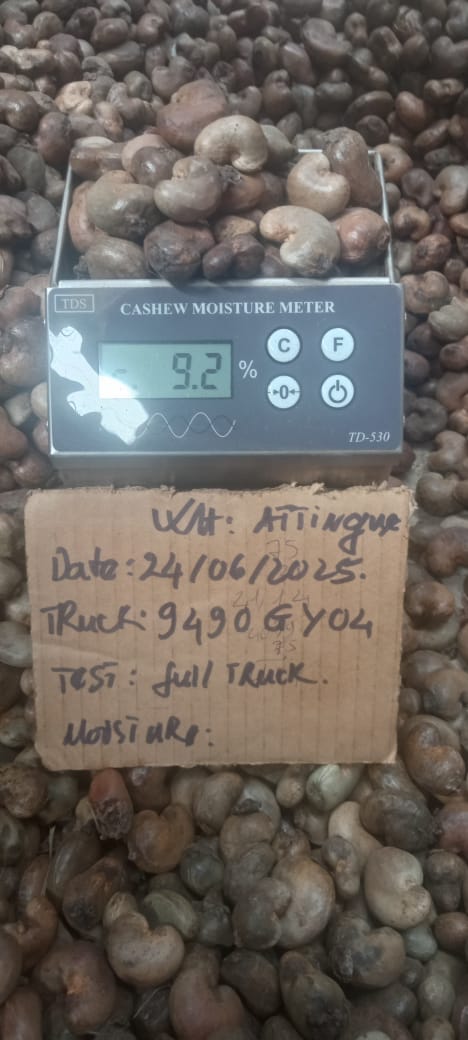AFRIVIET