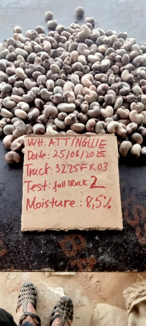AFRIVIET