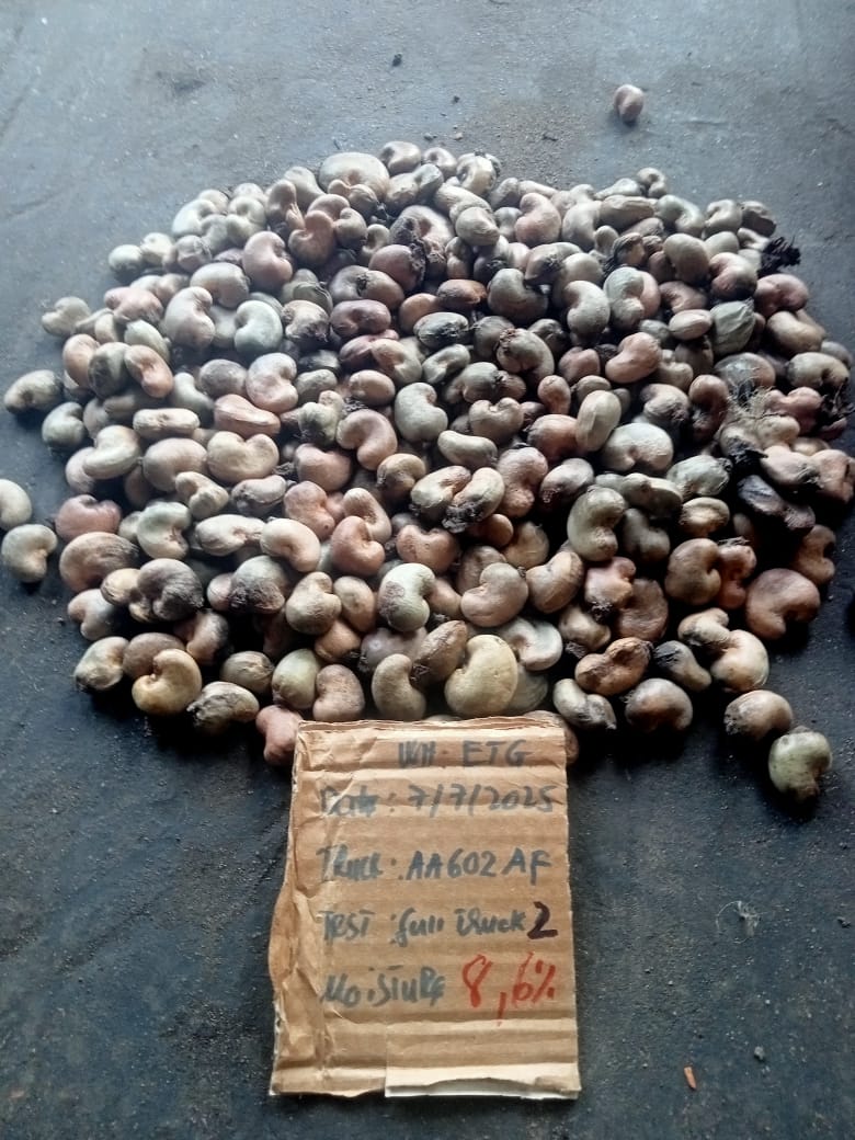 AFRIVIET