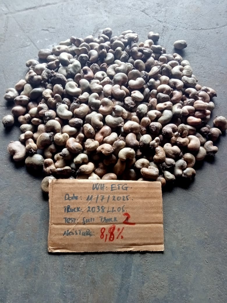 AFRIVIET