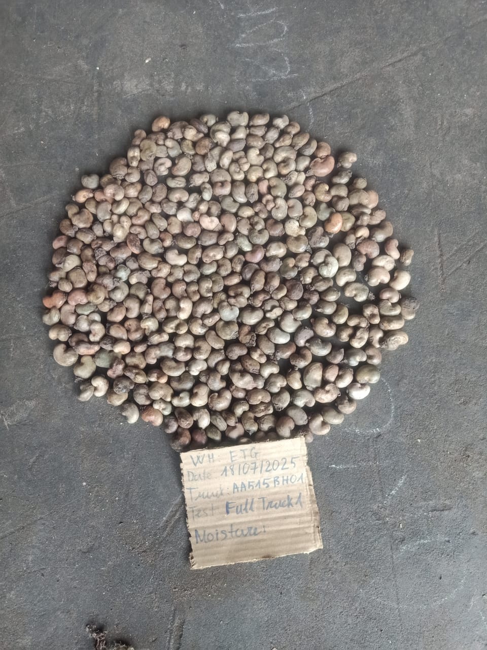 AFRIVIET