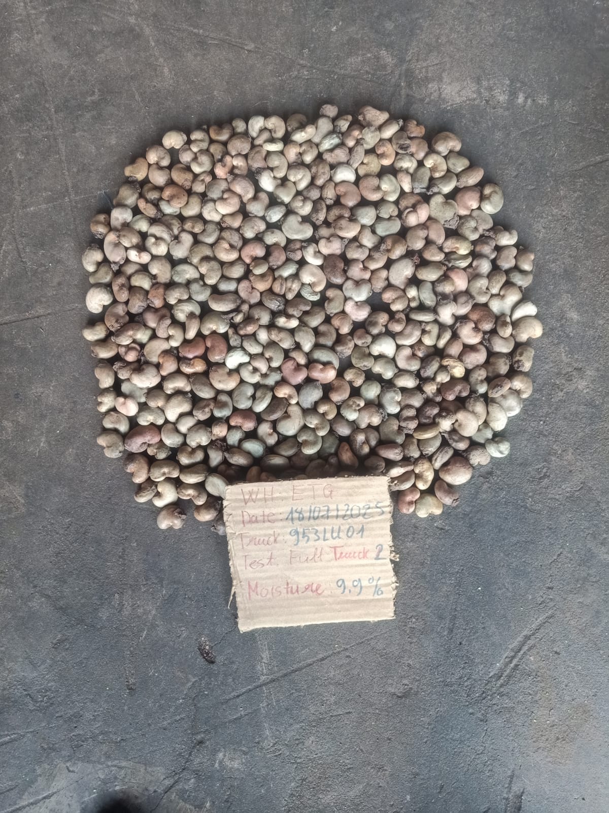 AFRIVIET