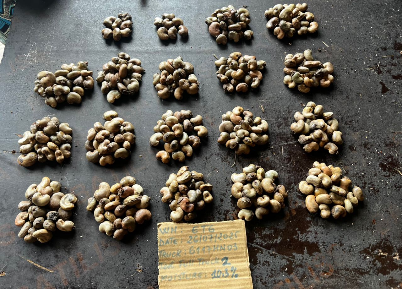 AFRIVIET