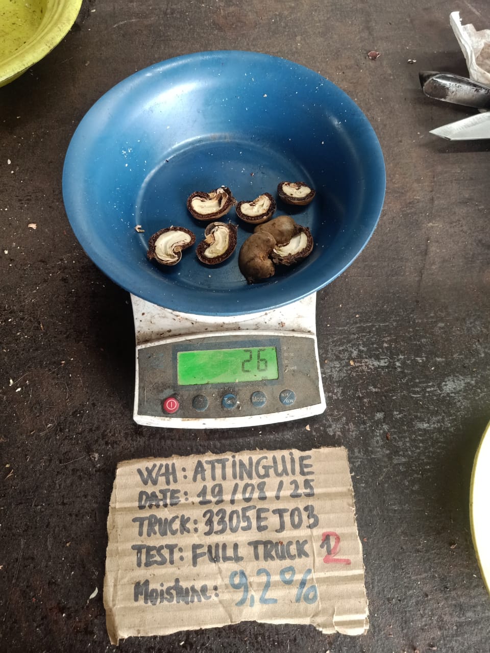 AFRIVIET