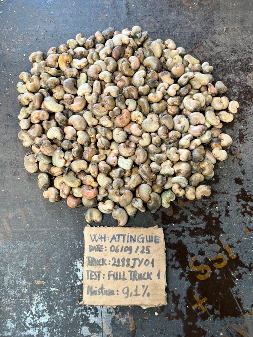 AFRIVIET