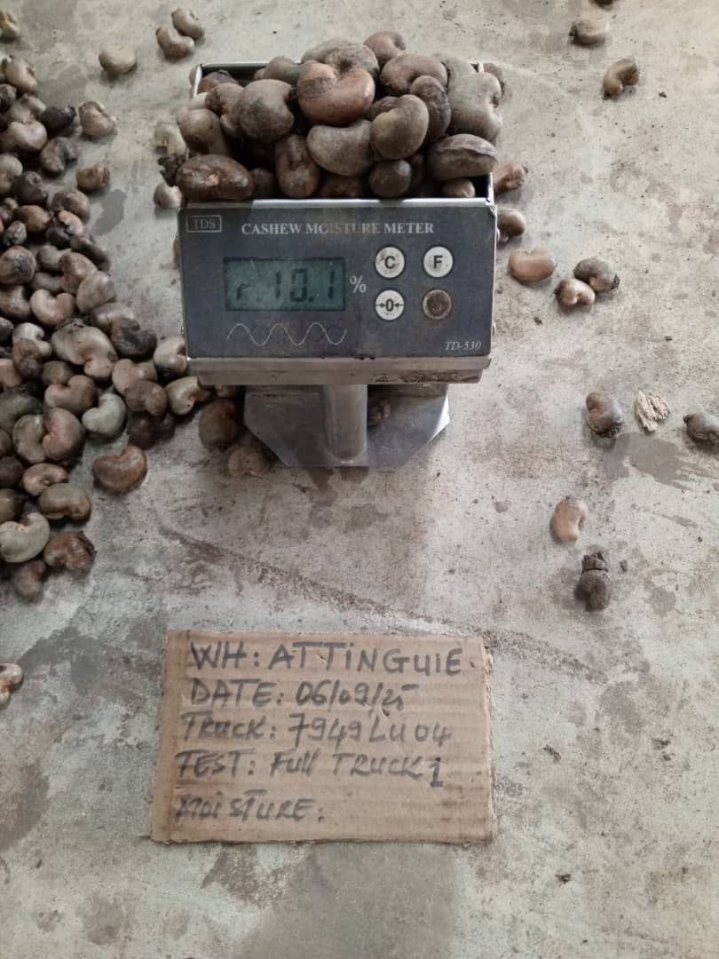 AFRIVIET