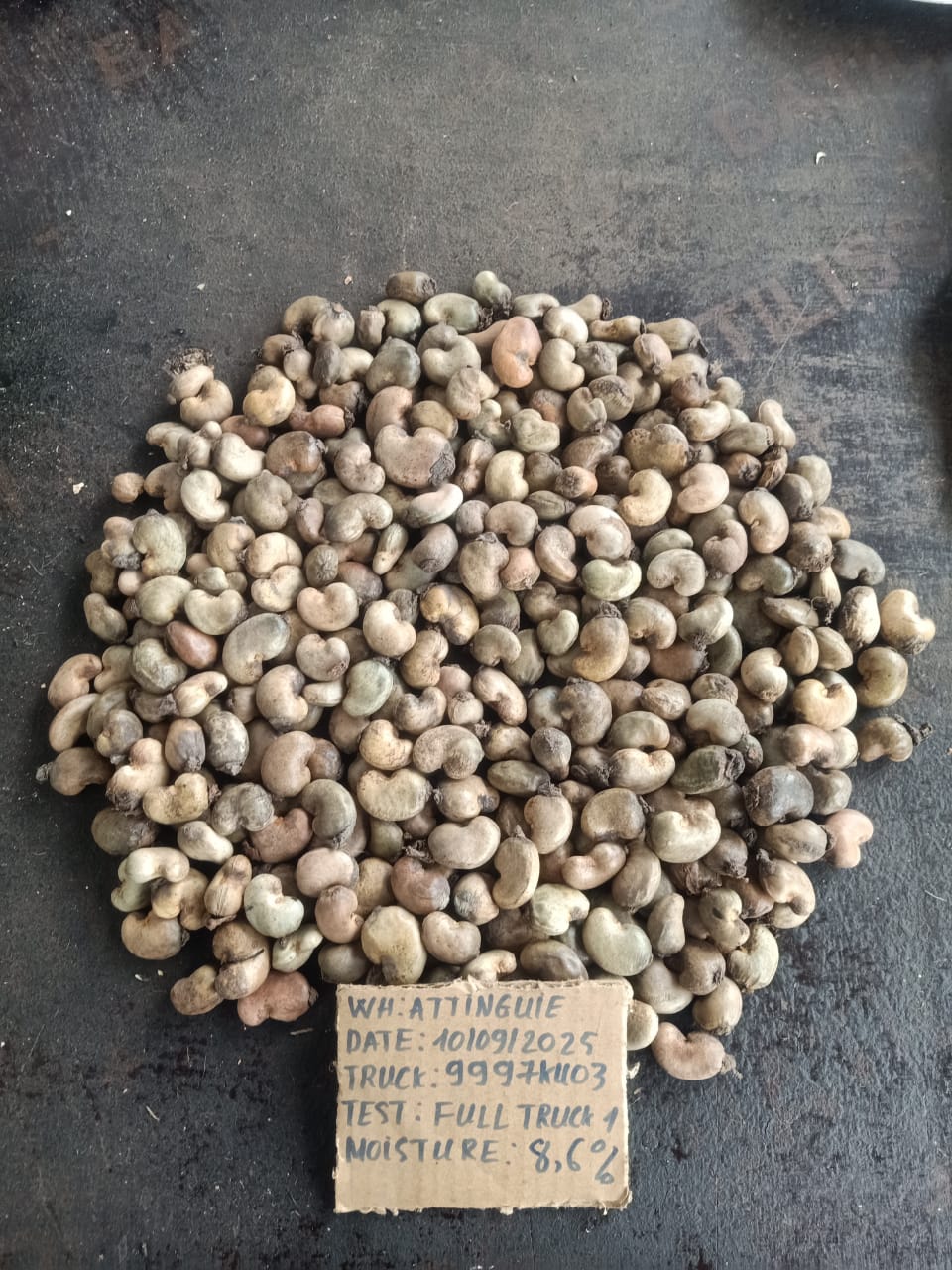 AFRIVIET