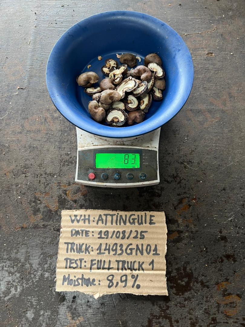 AFRIVIET