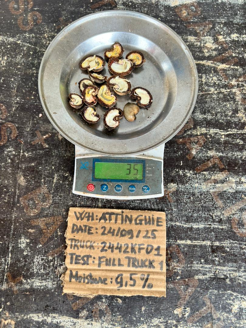 AFRIVIET