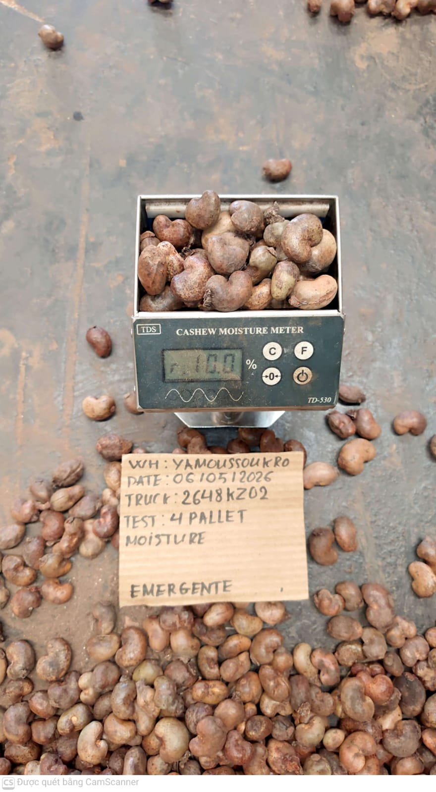 AFRIVIET