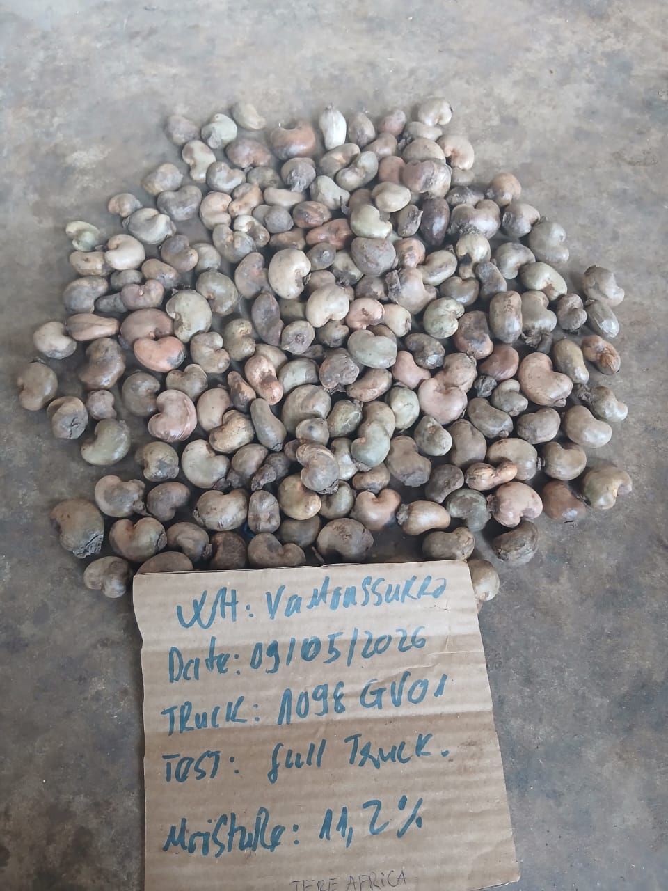 AFRIVIET