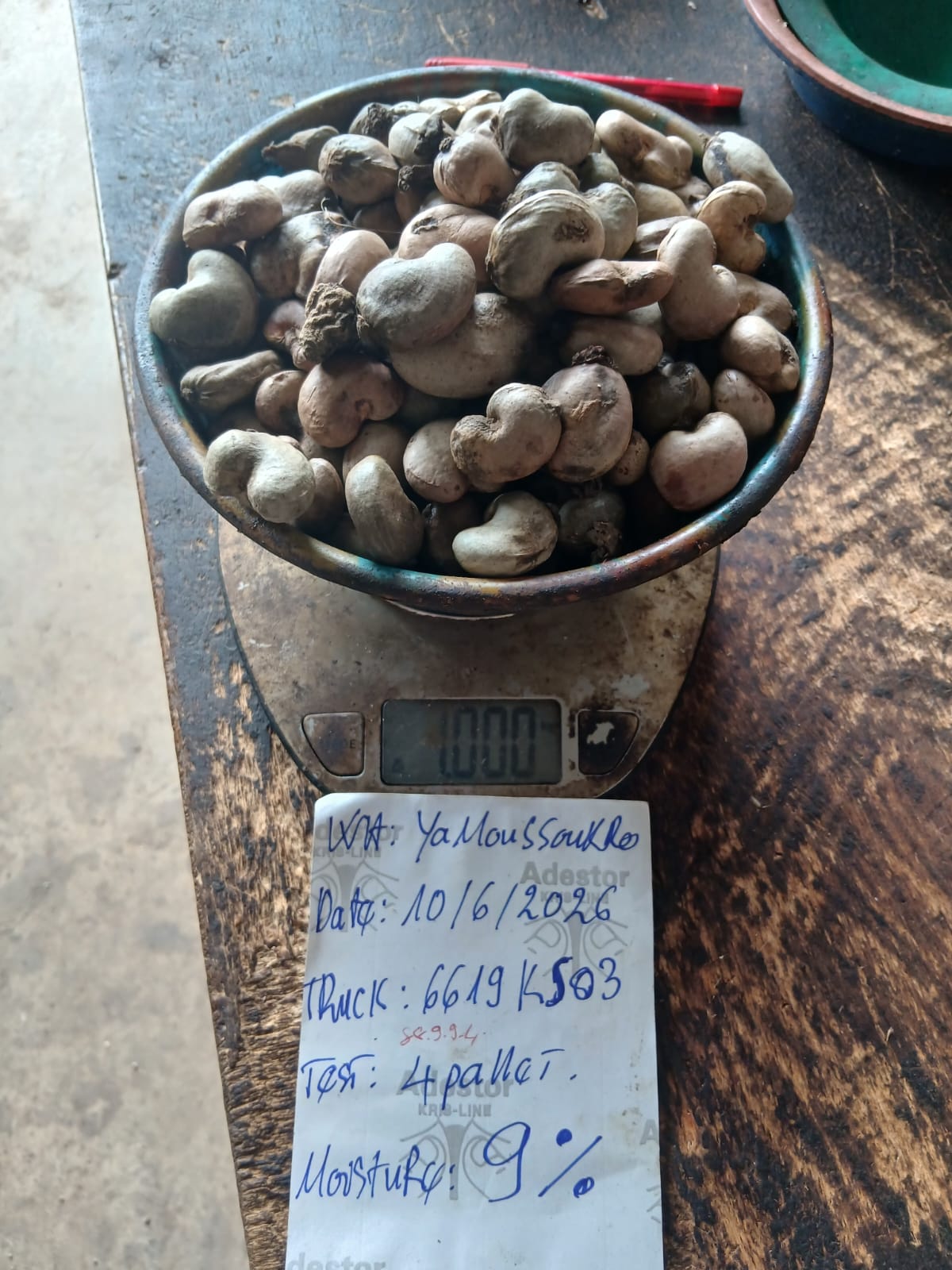 AFRIVIET