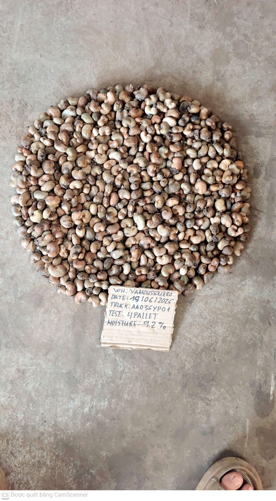 AFRIVIET