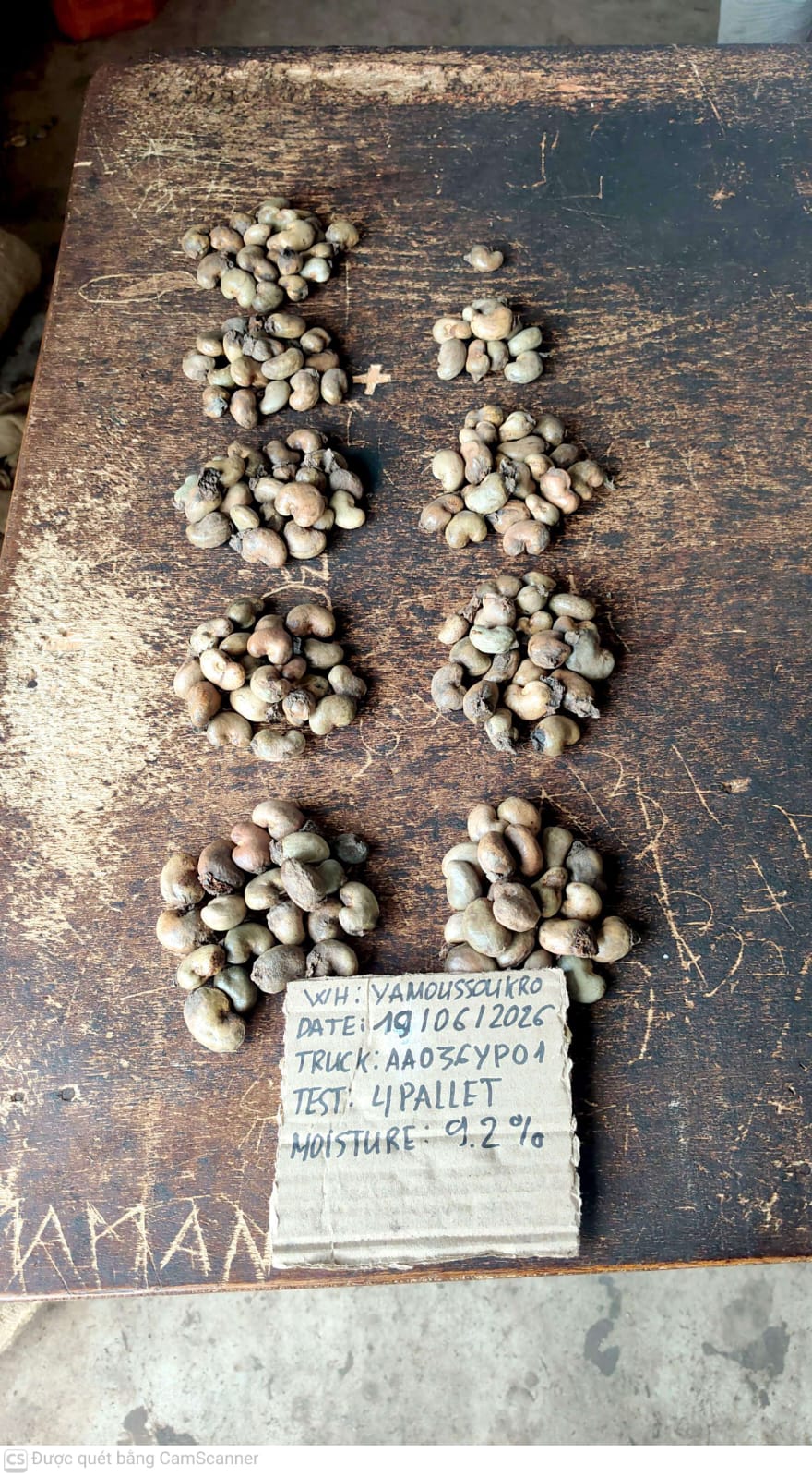 AFRIVIET
