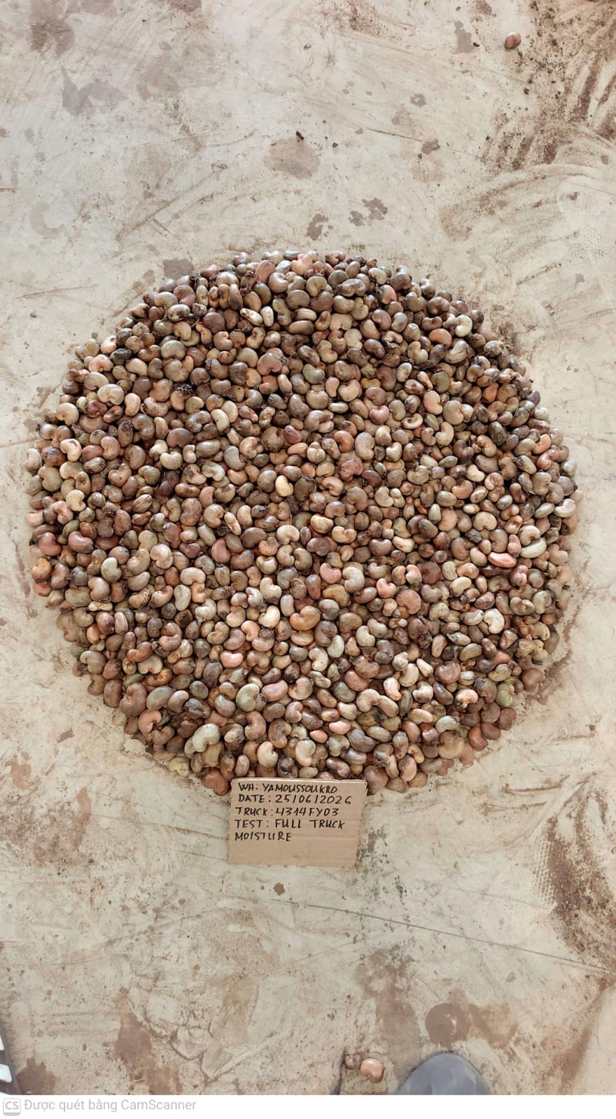 AFRIVIET