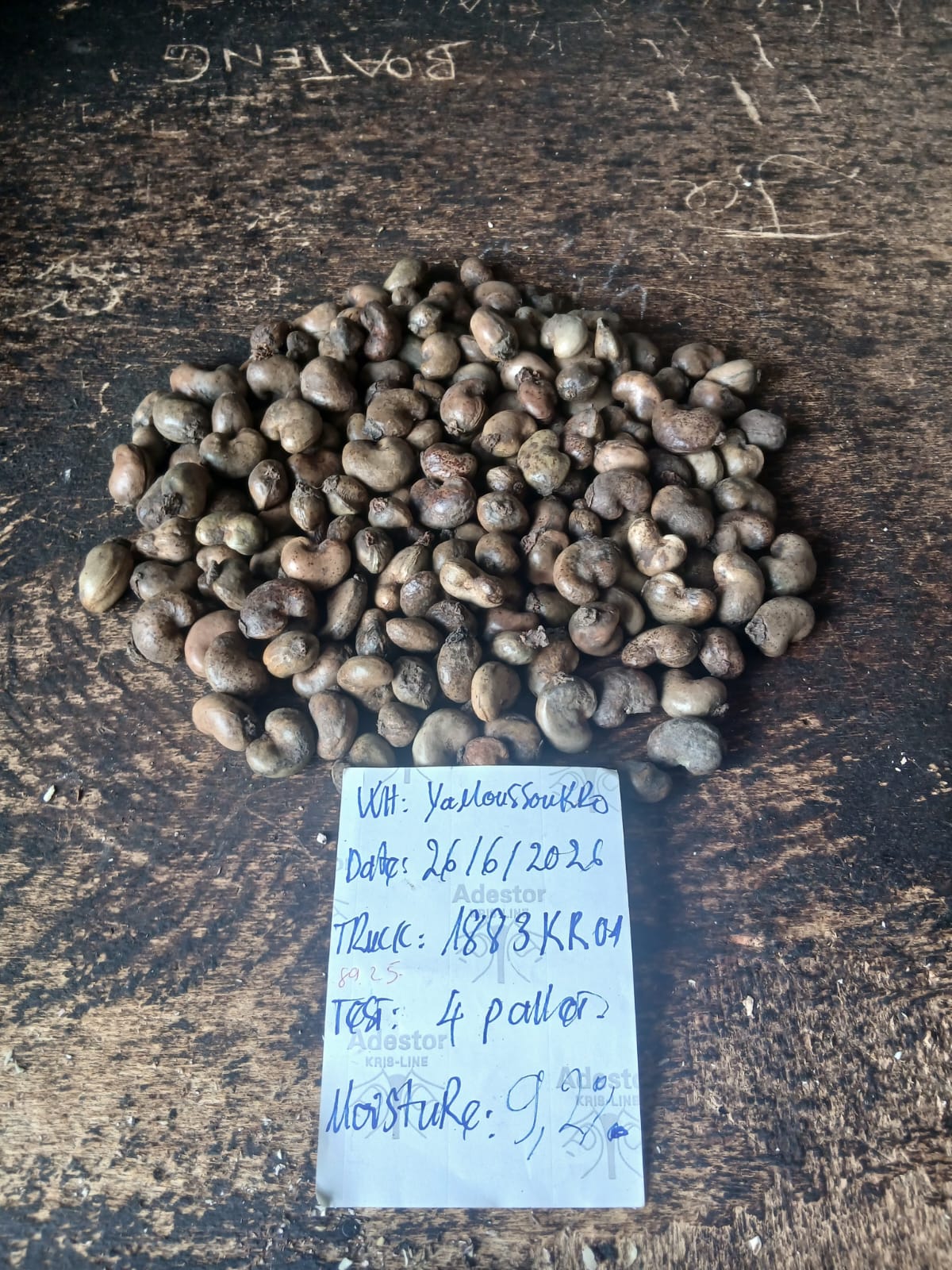 AFRIVIET