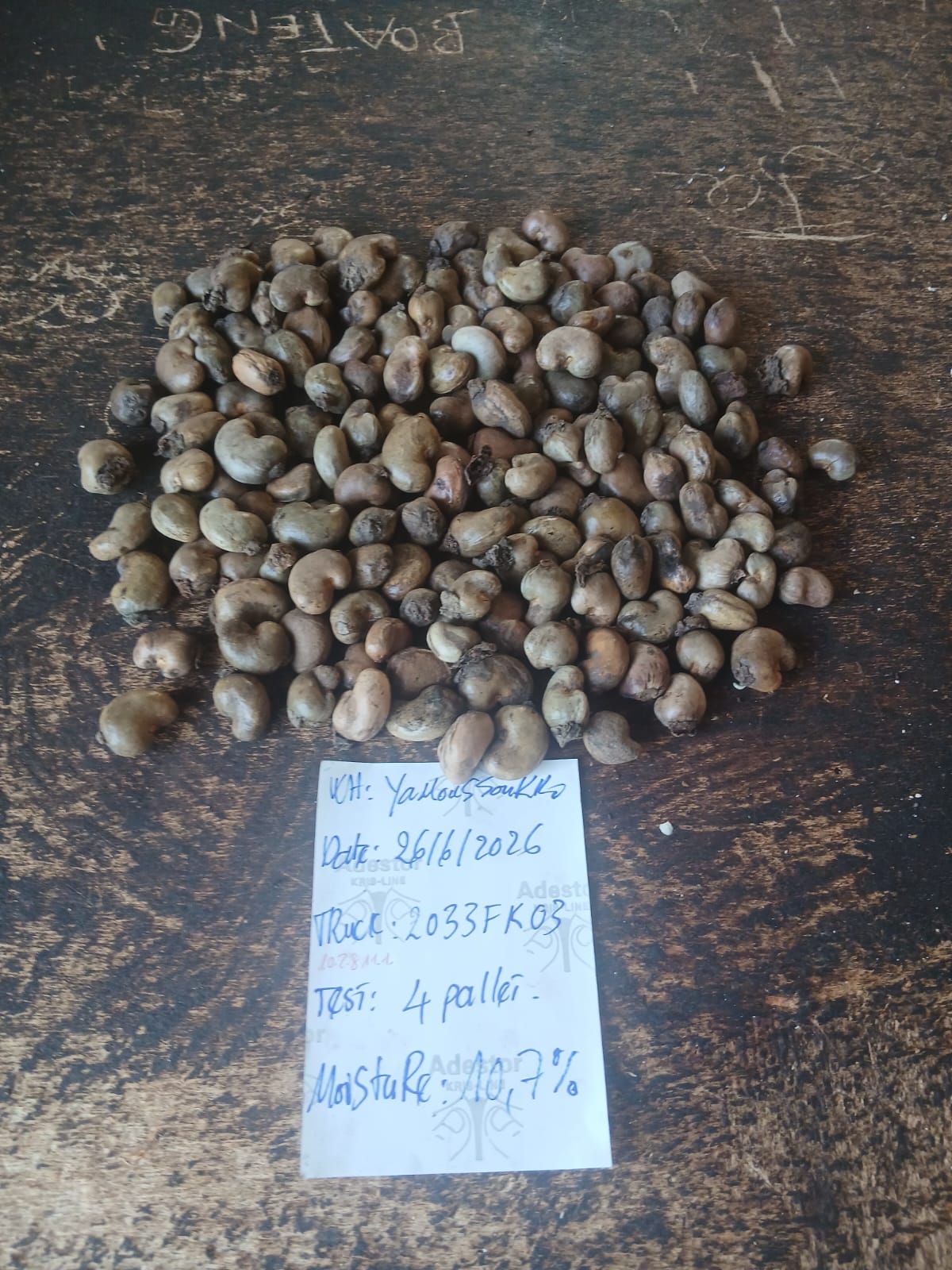 AFRIVIET