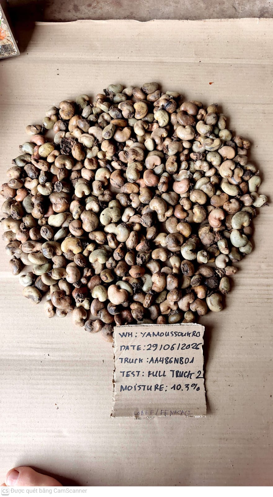 AFRIVIET