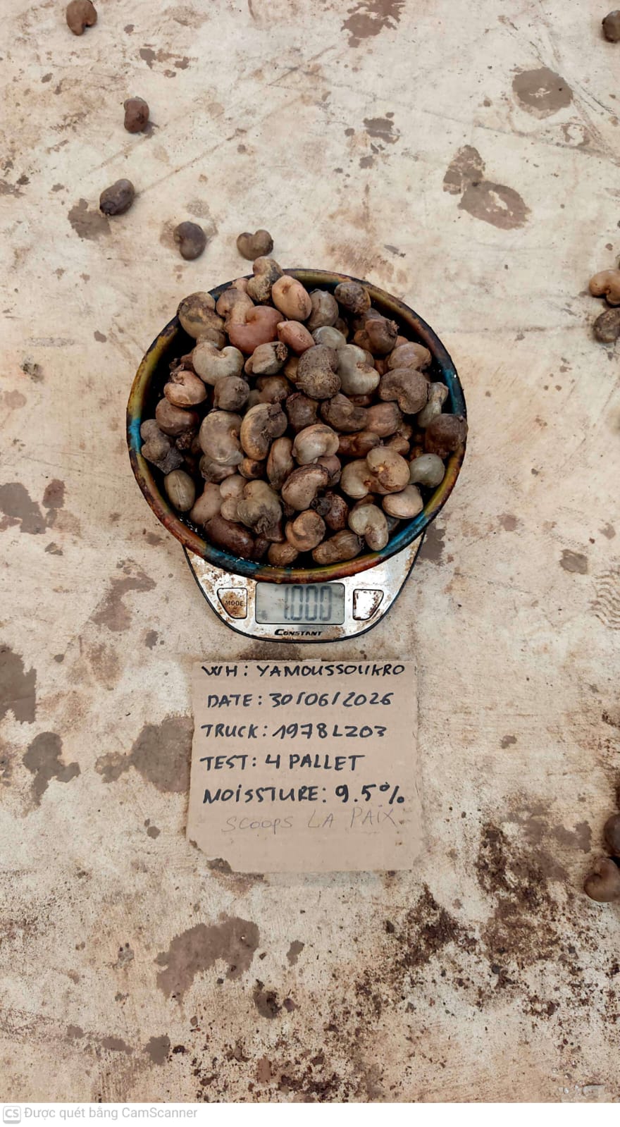 AFRIVIET