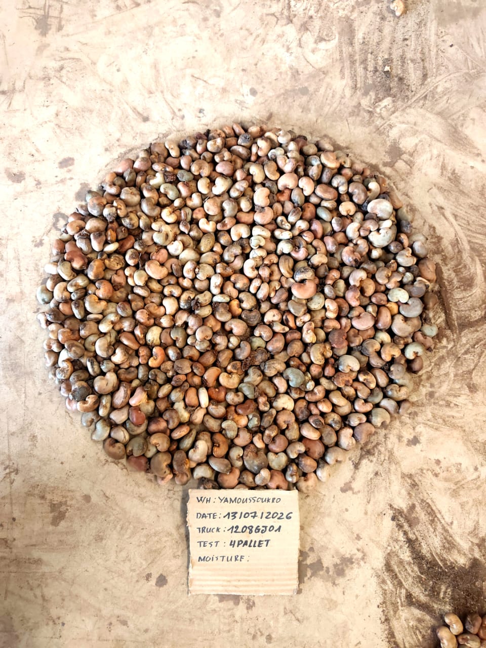AFRIVIET