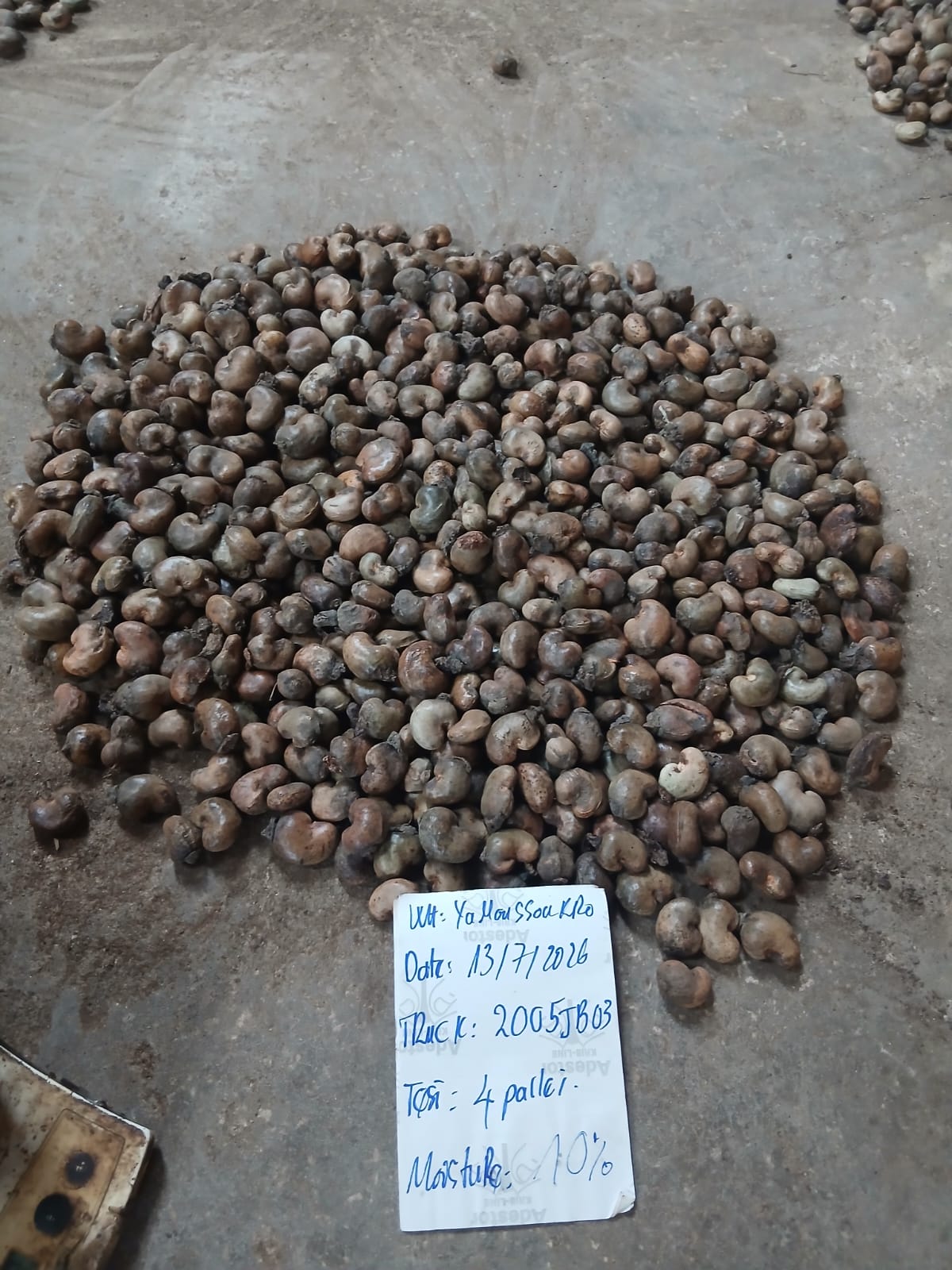 AFRIVIET